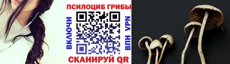 Псилоцибиновые грибы мицелий  Купить закладки  Светлогорск 